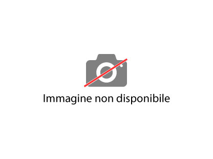 Immagine non disponibile